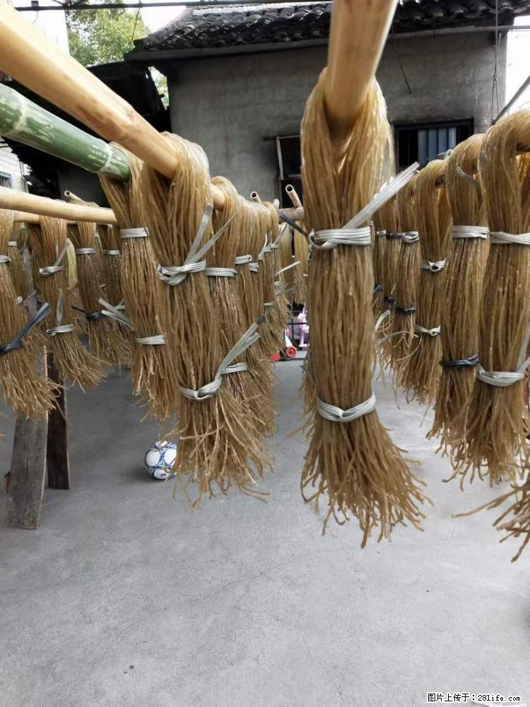 【灌阳正宗红薯粉】美女家里自己做的，干净卫生，假一赔十，价格合理，抢购电话：13737312895 - 美食天地 - 赵县生活社区 - 赵县28生活网 zx.28life.net