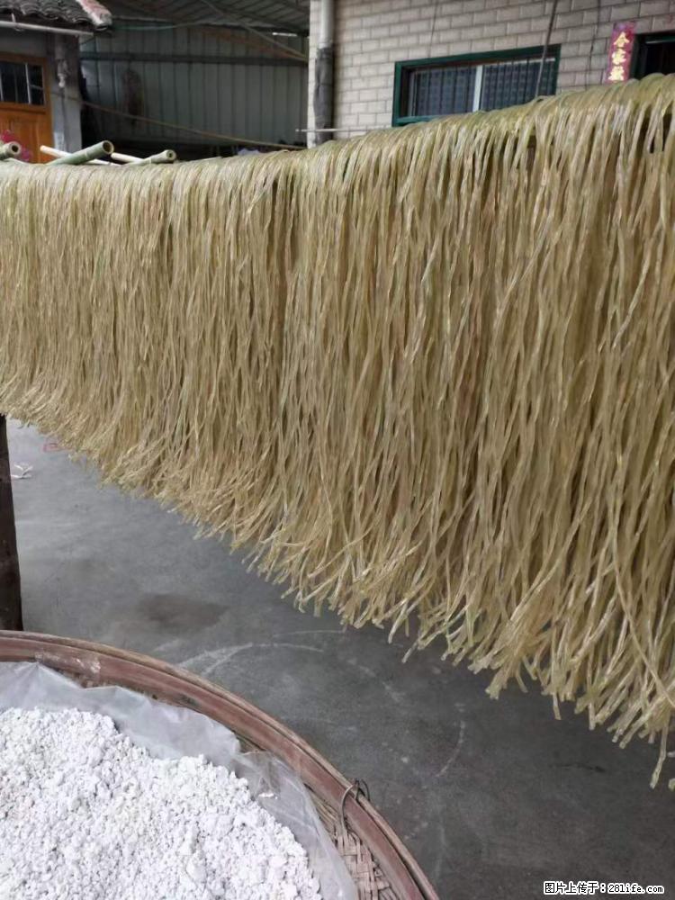 【灌阳正宗红薯粉】美女家里自己做的，干净卫生，假一赔十，价格合理，抢购电话：13737312895 - 美食天地 - 赵县生活社区 - 赵县28生活网 zx.28life.net