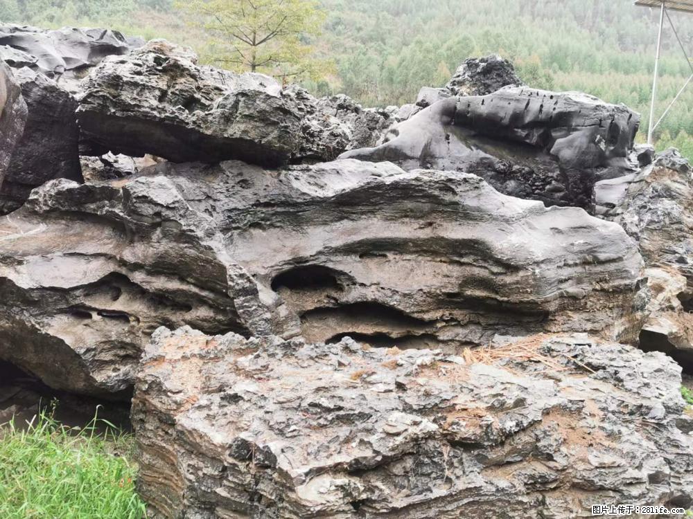 风景石、假山石大量有货，有需要的欢迎联系 - 新手上路 - 赵县生活社区 - 赵县28生活网 zx.28life.net