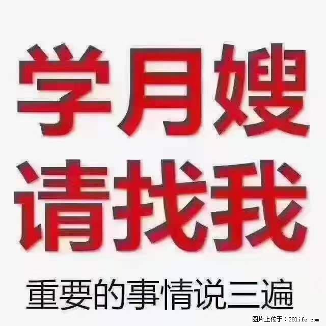为什么要学习月嫂，育婴师？ - 其他广告 - 广告专区 - 赵县分类信息 - 赵县28生活网 zx.28life.net