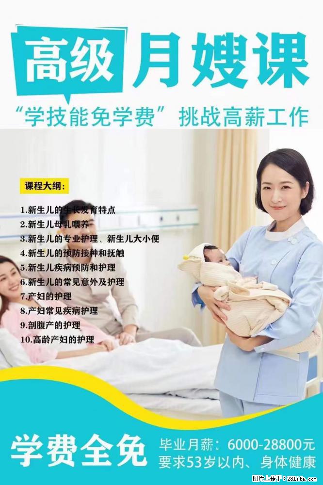 为什么要学习月嫂，育婴师？ - 其他广告 - 广告专区 - 赵县分类信息 - 赵县28生活网 zx.28life.net