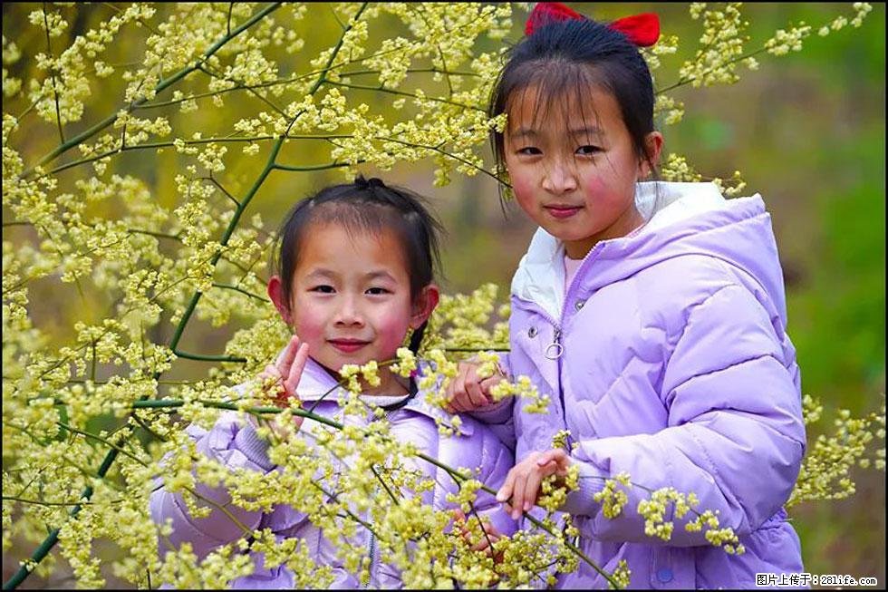 【春天,广西桂林灌阳县向您发出邀请!】米珠山前有片山苍子花在飘香 - 游山玩水 - 赵县生活社区 - 赵县28生活网 zx.28life.net