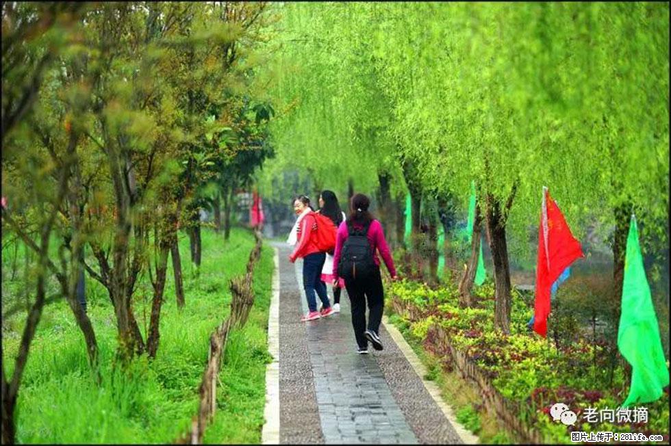 【春天，广西桂林灌阳县向您发出邀请！】江口老街又逢春 - 游山玩水 - 赵县生活社区 - 赵县28生活网 zx.28life.net