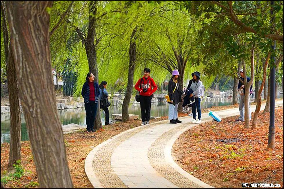 【春天，广西桂林灌阳县向您发出邀请！】江口老街又逢春 - 游山玩水 - 赵县生活社区 - 赵县28生活网 zx.28life.net