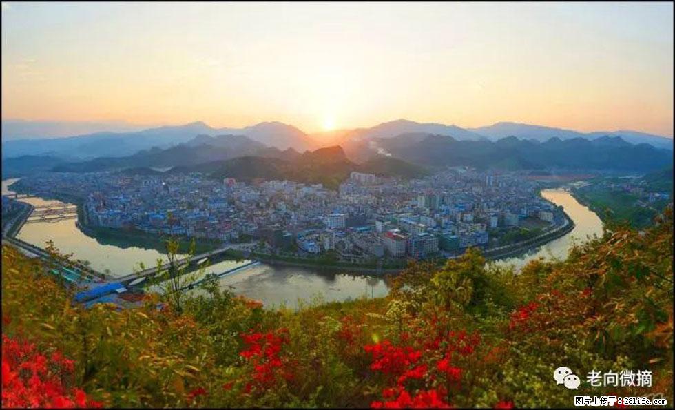 【春天，广西桂林灌阳县向您发出邀请！】登麒麟山，相约映山红 - 游山玩水 - 赵县生活社区 - 赵县28生活网 zx.28life.net