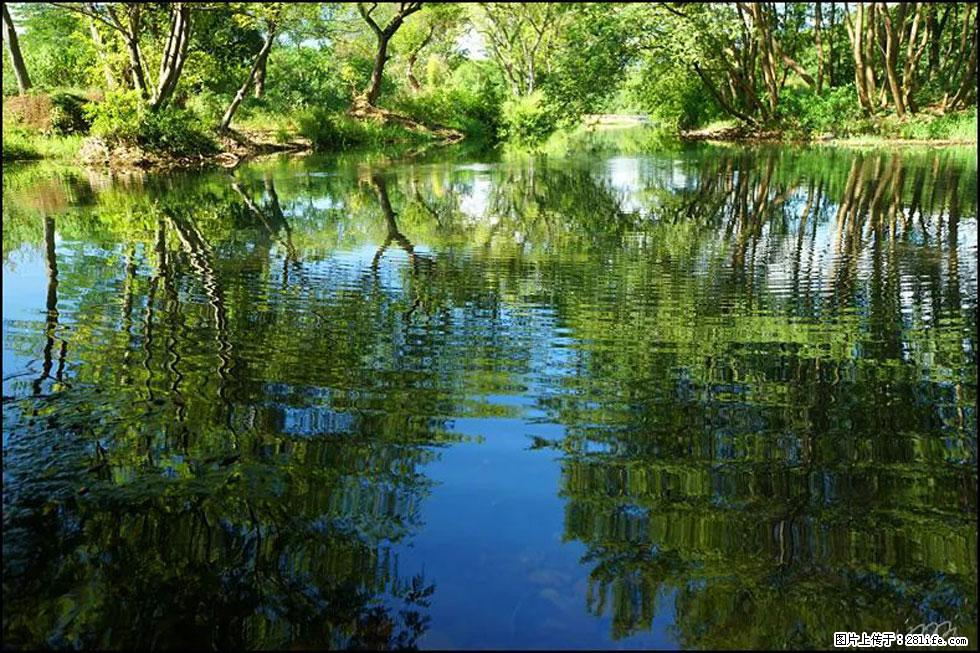 【春天，广西桂林灌阳县向您发出邀请！】熊家寨湿地公园 - 游山玩水 - 赵县生活社区 - 赵县28生活网 zx.28life.net