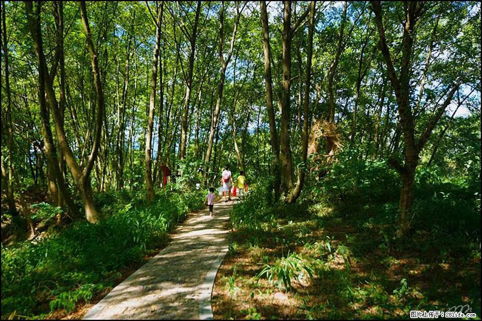 【春天，广西桂林灌阳县向您发出邀请！】熊家寨湿地公园 - 游山玩水 - 赵县生活社区 - 赵县28生活网 zx.28life.net