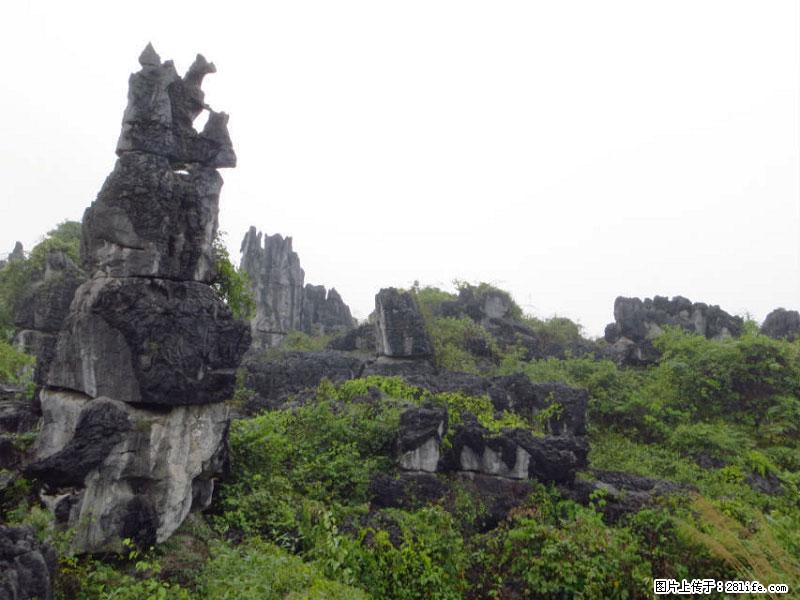 桂林旅游名城景点：灌阳文市石林 - 游山玩水 - 赵县生活社区 - 赵县28生活网 zx.28life.net