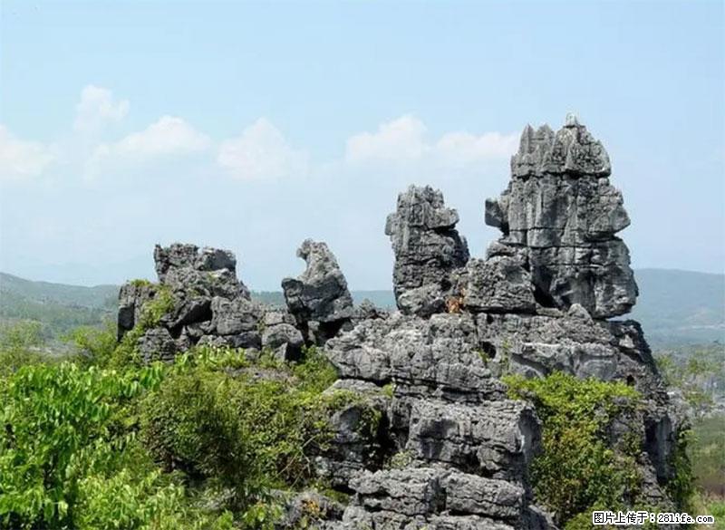 桂林旅游名城景点：灌阳文市石林 - 游山玩水 - 赵县生活社区 - 赵县28生活网 zx.28life.net