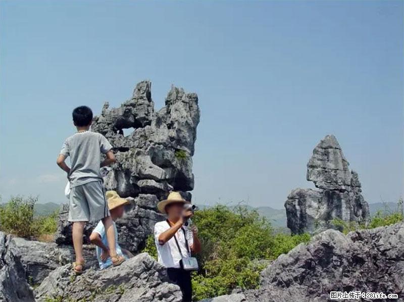桂林旅游名城景点：灌阳文市石林 - 游山玩水 - 赵县生活社区 - 赵县28生活网 zx.28life.net