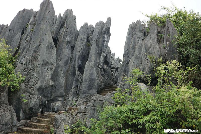 桂林旅游名城景点：灌阳文市石林 - 游山玩水 - 赵县生活社区 - 赵县28生活网 zx.28life.net