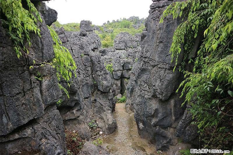 桂林旅游名城景点：灌阳文市石林 - 游山玩水 - 赵县生活社区 - 赵县28生活网 zx.28life.net