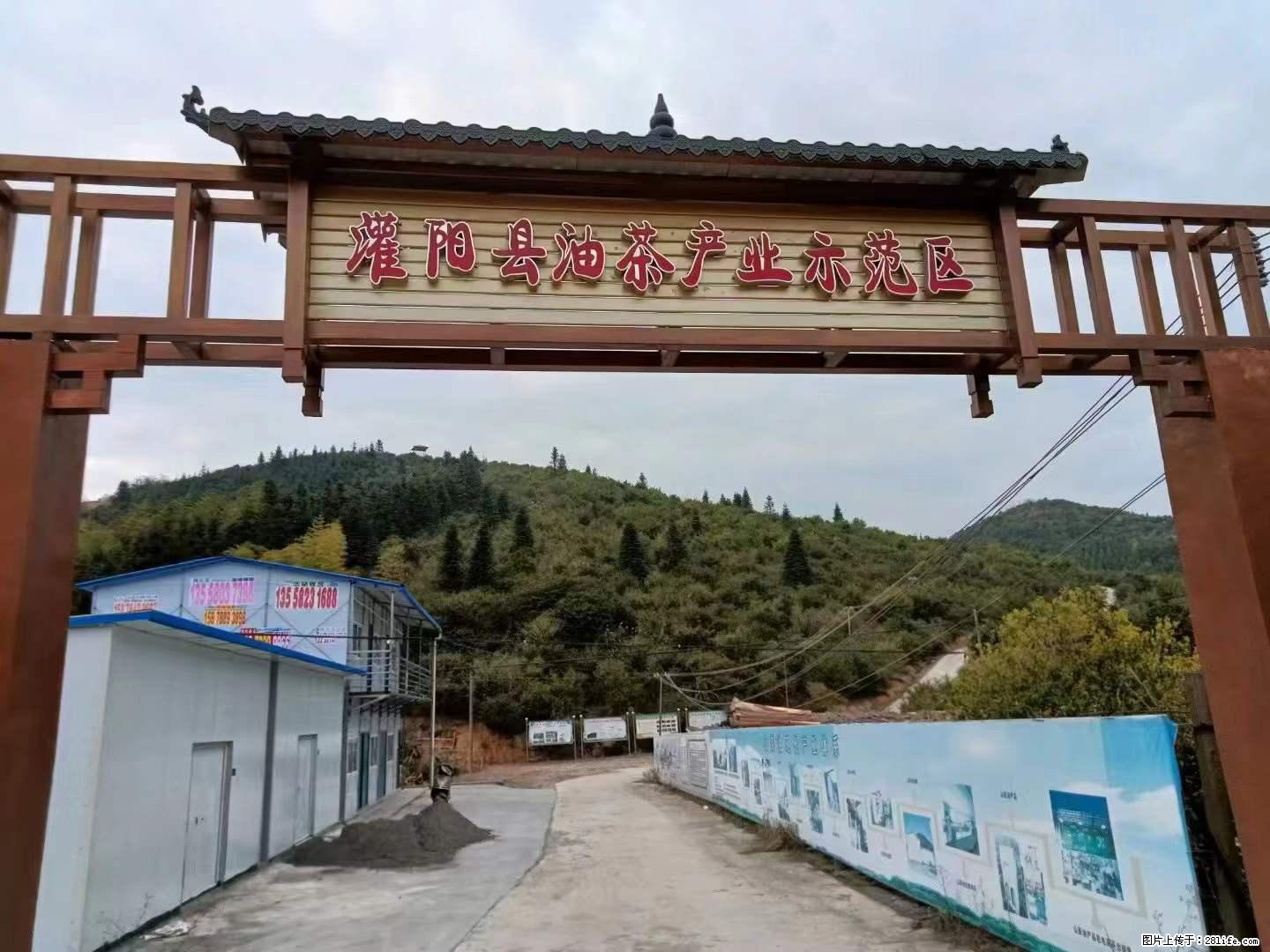 【灌阳县油茶产业示范区】一个有着充实的精神生活的人，对待身外之物自会有一种淡泊的态度 - 美食天地 - 赵县生活社区 - 赵县28生活网 zx.28life.net