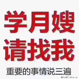 为什么要学习月嫂，育婴师？ - 赵县28生活网 zx.28life.net