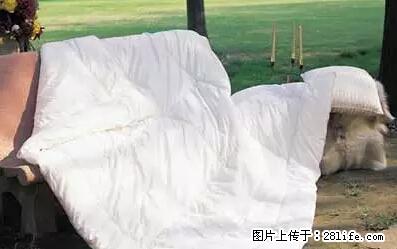 被子有异味？只要这样做，比晒太阳还强100倍！ - 家居生活 - 赵县生活社区 - 赵县28生活网 zx.28life.net