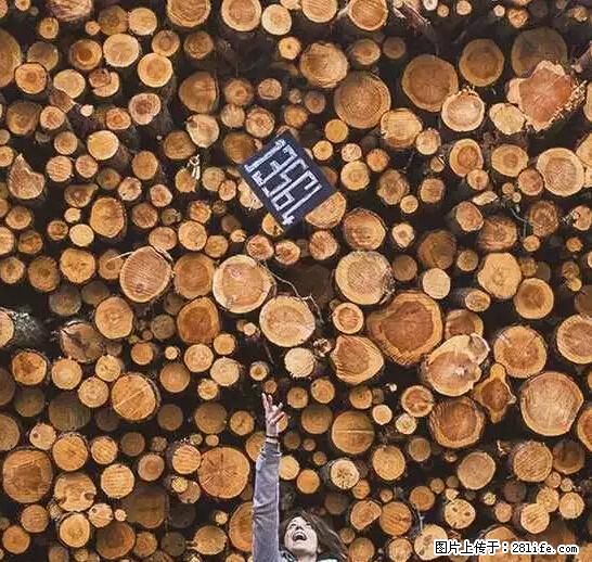 辞掉工作周游世界？现在他们在洗厕所…… - 游山玩水 - 赵县生活社区 - 赵县28生活网 zx.28life.net