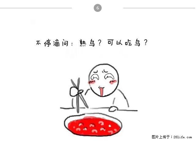 千万不要和这9种哈卵一起吃火锅！ - 美食天地 - 赵县生活社区 - 赵县28生活网 zx.28life.net