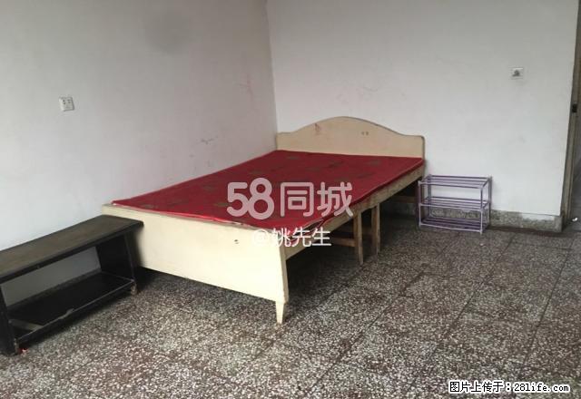 赵县政府家属院 3室1厅1卫 - 房屋出租 - 房屋租售 - 赵县分类信息 - 赵县28生活网 zx.28life.net