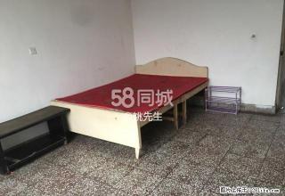 赵县政府家属院 3室1厅1卫 - 赵县28生活网 zx.28life.net