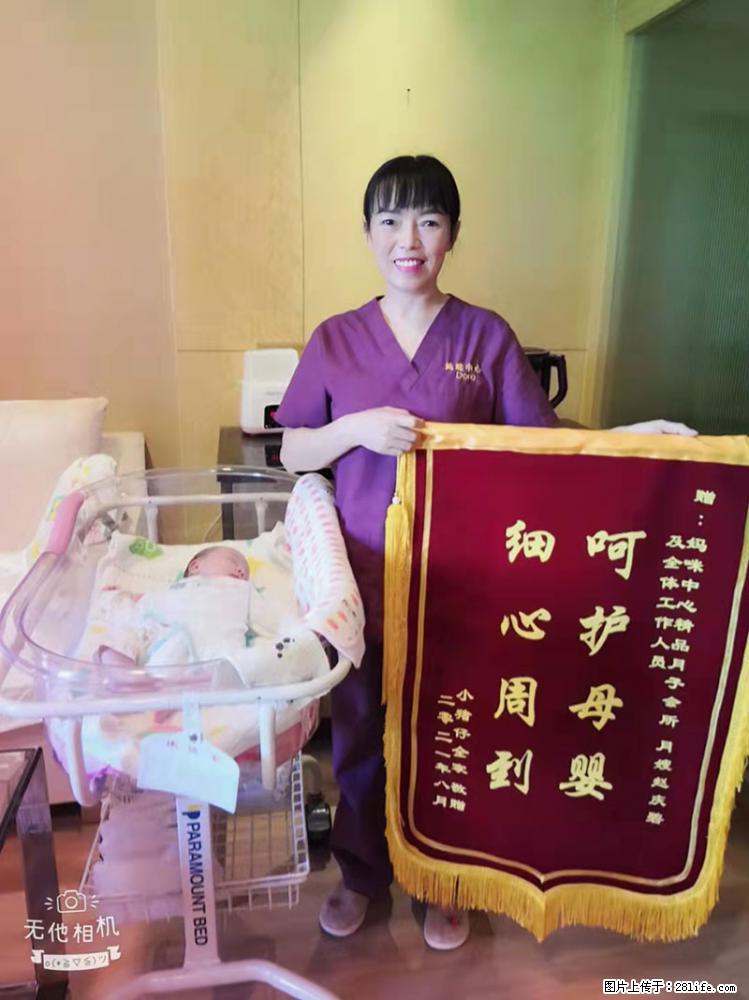 上海高端月子会所招新手月嫂，零基础带教，包吃住 - 职场交流 - 赵县生活社区 - 赵县28生活网 zx.28life.net