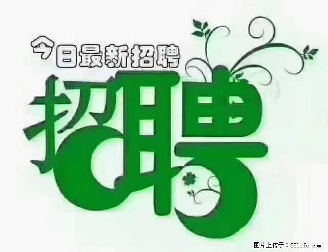【招聘摄像师】待遇：试用期6000元/月，转正7000元/月+五险一金+餐补+节日福利+奖金 - 其他招聘信息 - 招聘求职 - 赵县分类信息 - 赵县28生活网 zx.28life.net