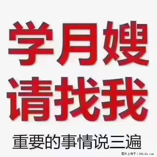 【招聘】月嫂，上海徐汇区 - 职场交流 - 赵县生活社区 - 赵县28生活网 zx.28life.net