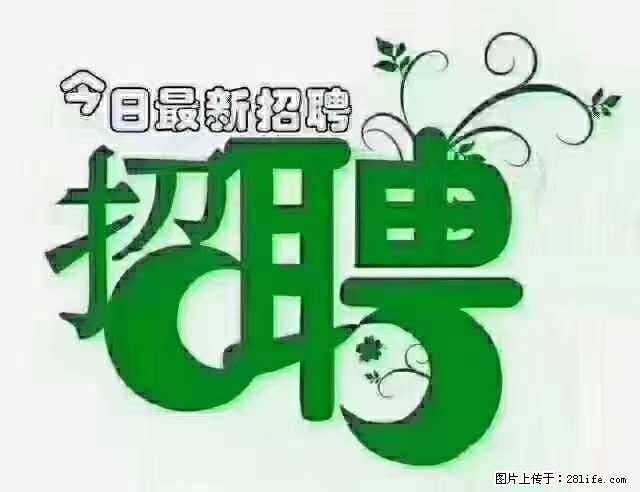 上海青浦区招仓管 - 职场交流 - 赵县生活社区 - 赵县28生活网 zx.28life.net