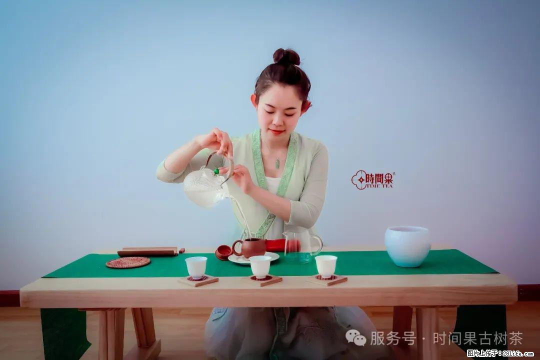 时间果百年古树龙珠普洱生茶 - 购物交流 - 赵县生活社区 - 赵县28生活网 zx.28life.net