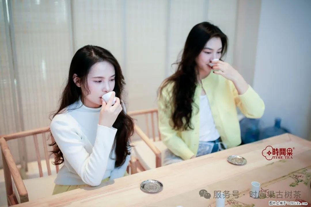 时间果百年古树龙珠普洱生茶 - 购物交流 - 赵县生活社区 - 赵县28生活网 zx.28life.net