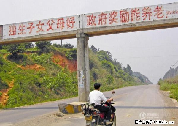 全面两孩政策计划明年元旦起实施 夫妻可延长生育假 - 赵县生活资讯 - 赵县28生活网 zx.28life.net