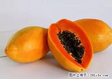 晕车、脚气、牙齿变黄、皮肤粗糙？学会这些三分钟搞定！ - 赵县生活资讯 - 赵县28生活网 zx.28life.net