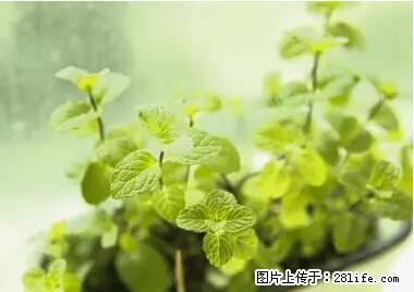 晕车、脚气、牙齿变黄、皮肤粗糙？学会这些三分钟搞定！ - 赵县生活资讯 - 赵县28生活网 zx.28life.net