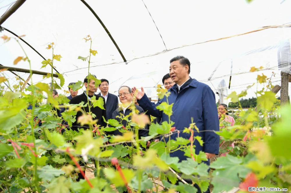 习近平赴广西考察调研 - 赵县生活资讯 - 赵县28生活网 zx.28life.net