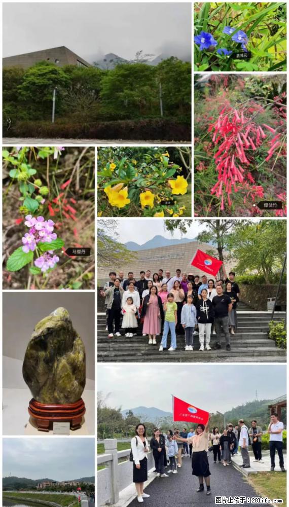 “粤灌文化 美好生活”油茶文化主题活动在广东深圳成功举办 - 赵县生活资讯 - 赵县28生活网 zx.28life.net
