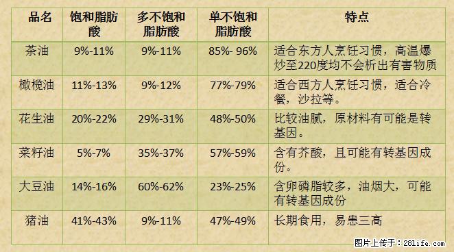 揭秘茶油的5大核心营养成分！被称为人体健康的“守护盾”！ - 赵县生活资讯 - 赵县28生活网 zx.28life.net