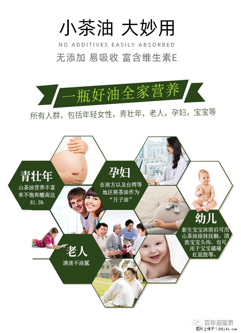 世界没有真相，只有认知，最好的食用油是中国的山茶油！ - 赵县生活资讯 - 赵县28生活网 zx.28life.net