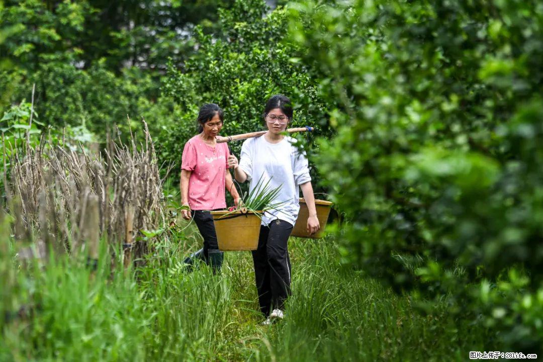 全网追的“扁担女孩”，找了一份暑假工，时薪12元 - 赵县生活资讯 - 赵县28生活网 zx.28life.net