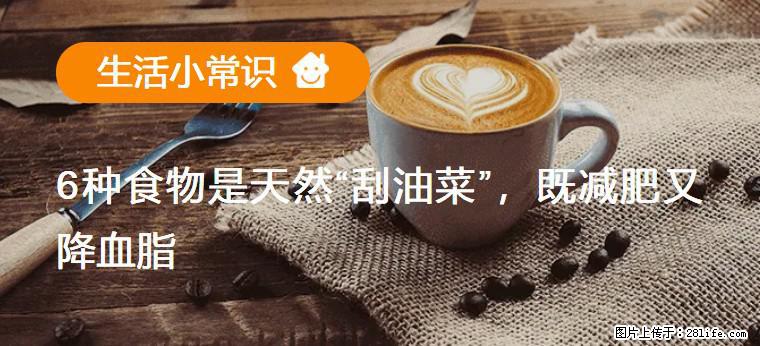 【生活小常识】6种食物是天然“刮油菜”，既减肥又降血脂 - 赵县生活资讯 - 赵县28生活网 zx.28life.net