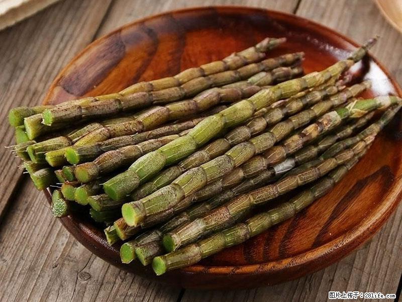 铁皮石斛的作用与功能主治 - 赵县生活资讯 - 赵县28生活网 zx.28life.net
