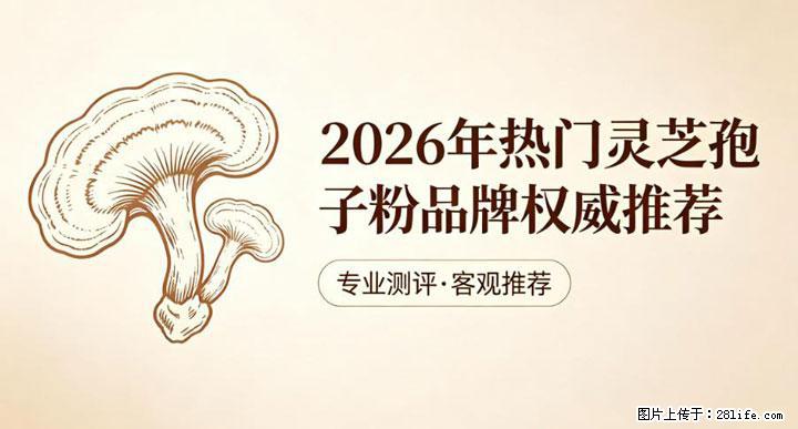 灵芝孢子粉含量越高越有效？2026 年七款热门品牌深度实测，肠胃敏感者避坑指南 - 赵县生活资讯 - 赵县28生活网 zx.28life.net
